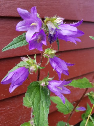 20180709_095001